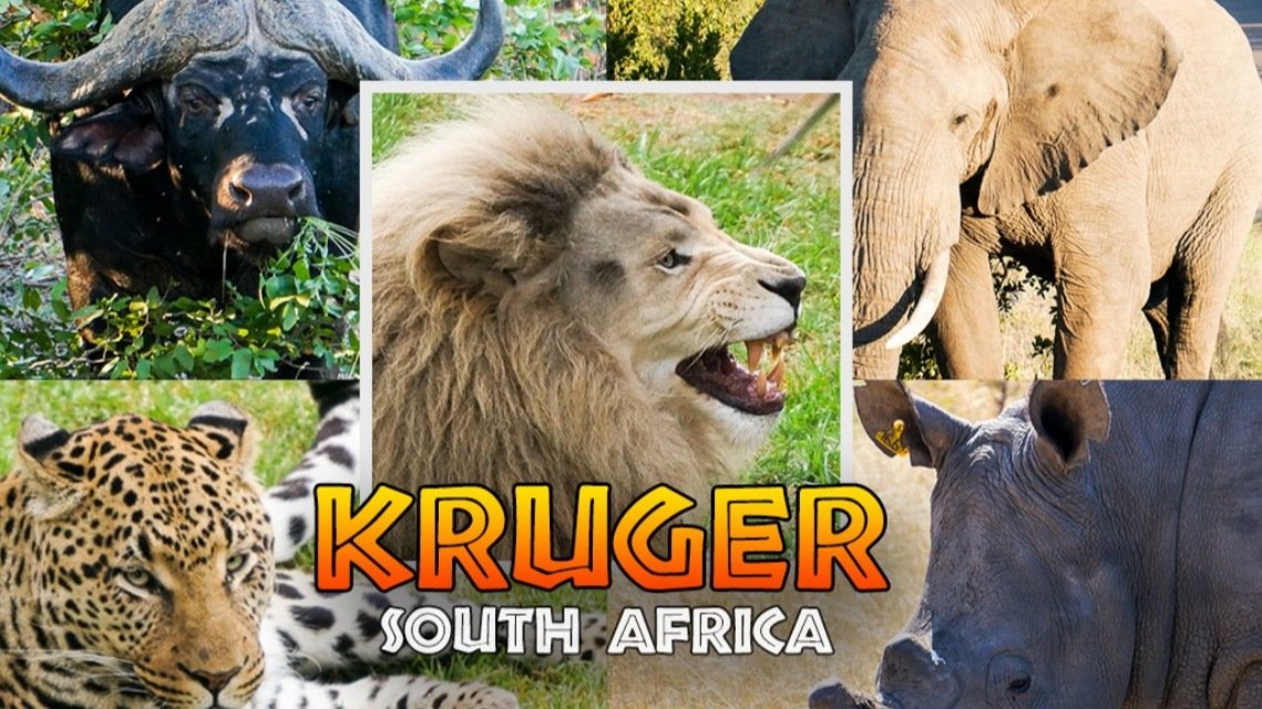 Where is Kruger National park