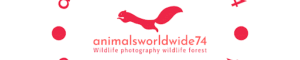animalsworldwide74