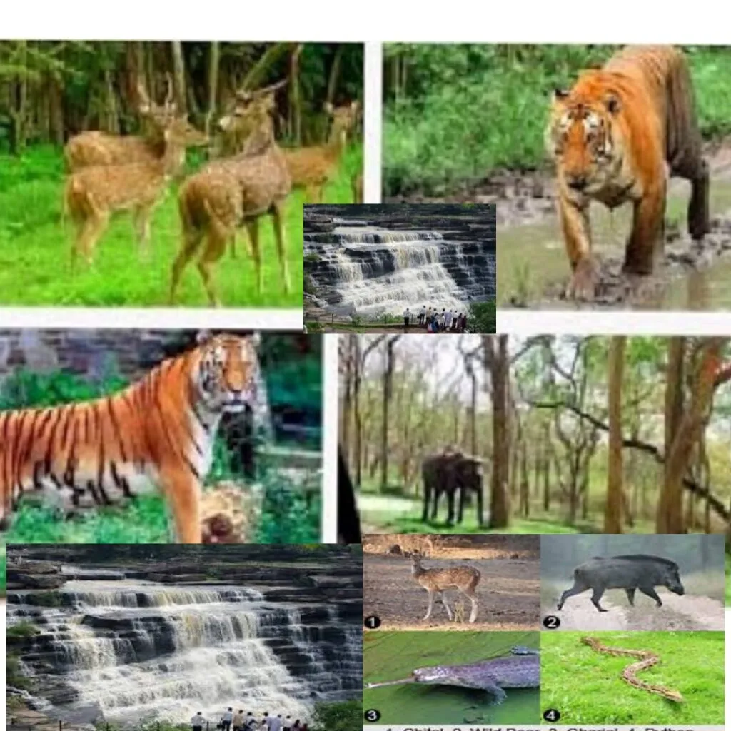 1000009423