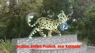 1000024738