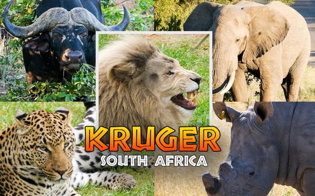 kruger-national-park-big-5-1080x675